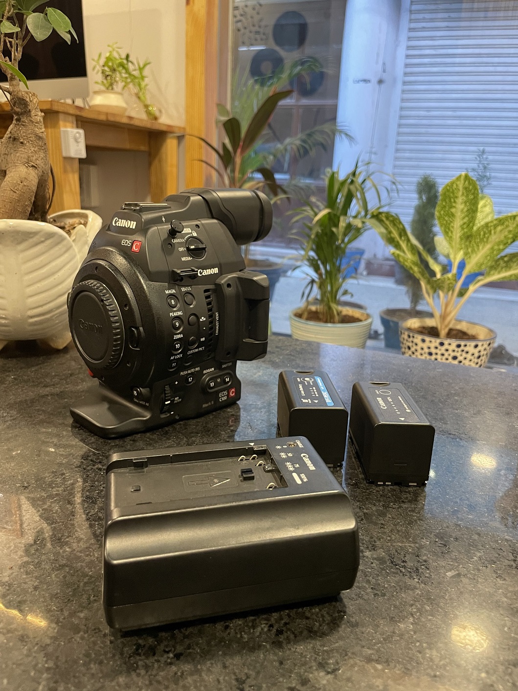 Canon C100 Movie Format Camera For Sale